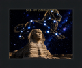 NEB-HU (SPHINX)/LEO