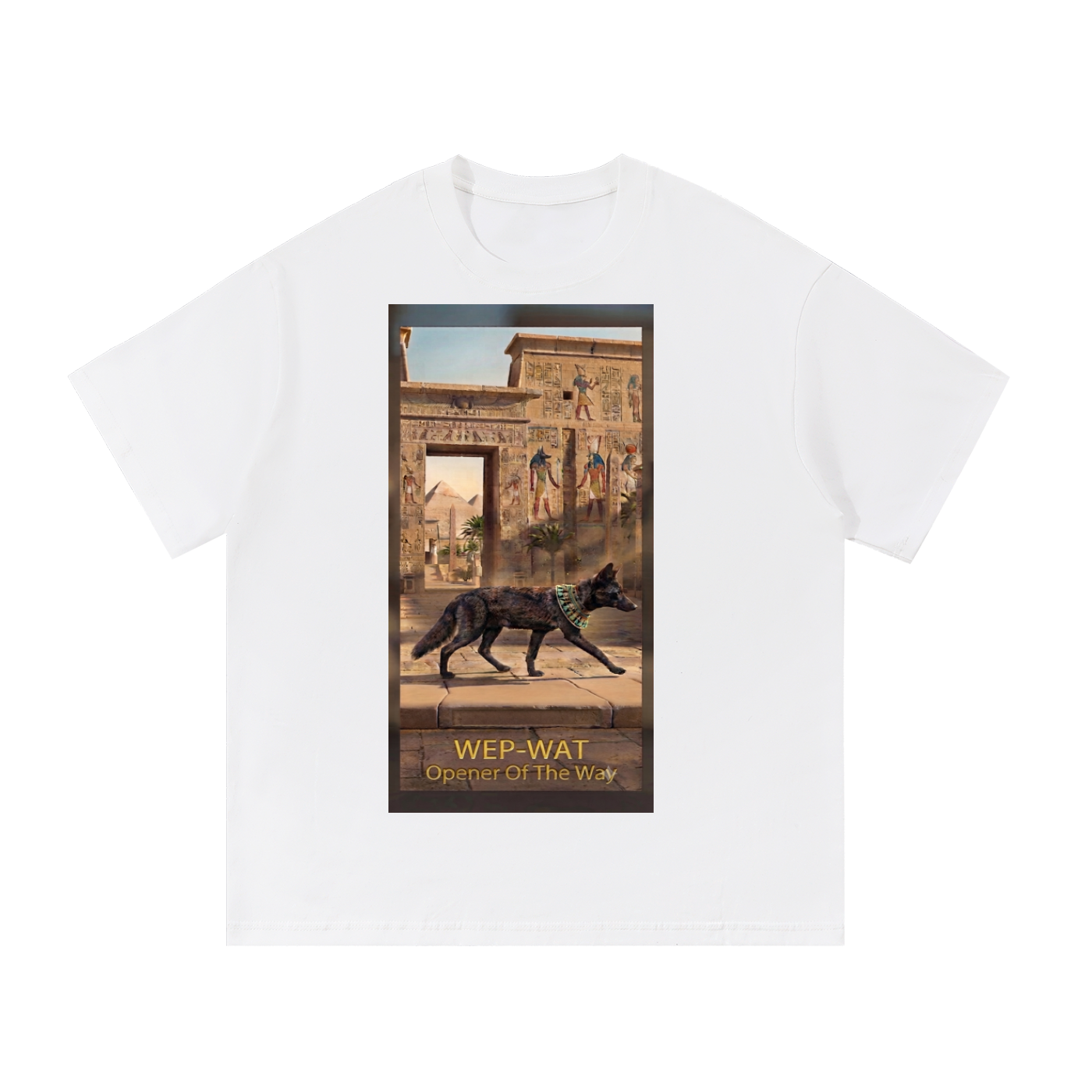 Essential Cotton T-Shirt
