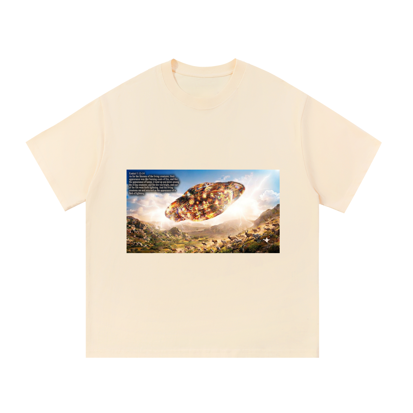 Essential Cotton T-Shirt
