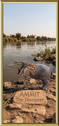 AMMIT